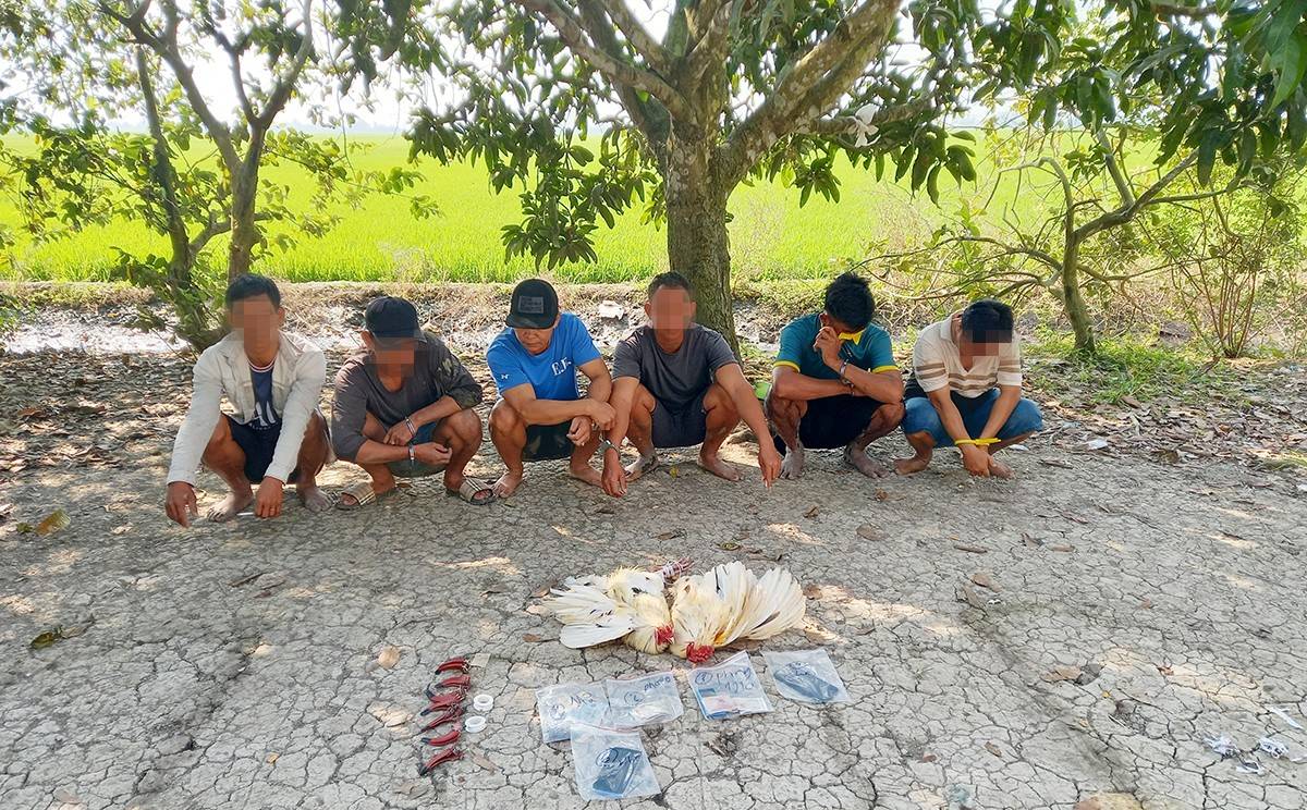 06 đối tượng có liên quan