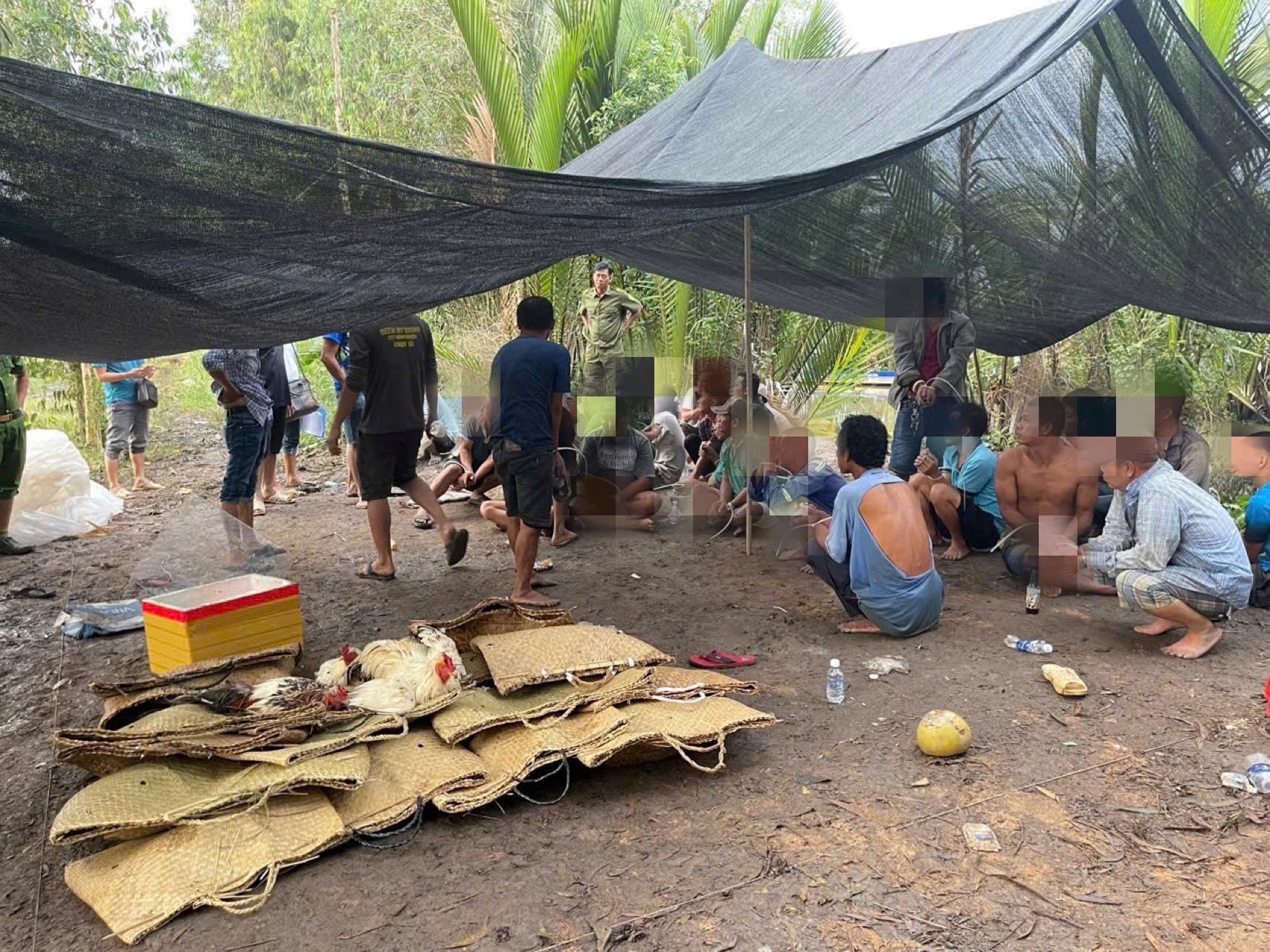 26 đối tượng cùng tang vật