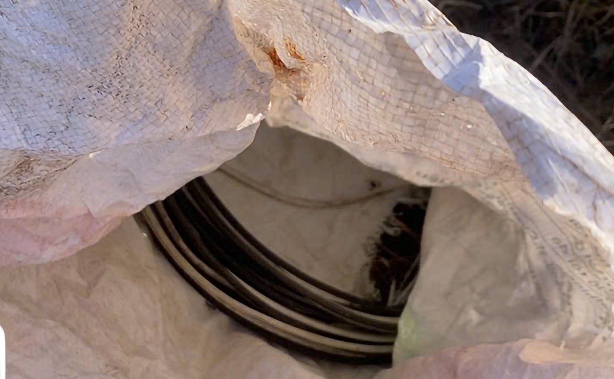 Tang vật thu giữ